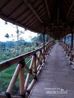 Sore yang Teduh di Kampung Jogjogan, Bogor