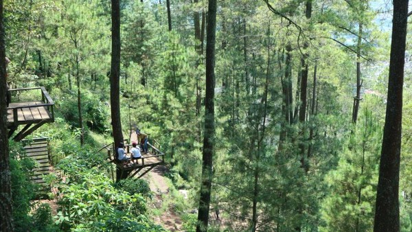 Mau Lihat Kota Batu dari Ketinggian Datanglah ke Omah Kayu