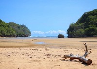 Pantai Clungup Pantai Clungup