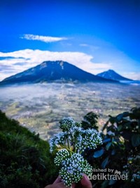 Pemandangan gunung Merapi dari gunung Merbabu Pemandangan gunung Merapi dari gunung Merbabu