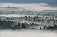 Kabut melingkupi Liwa dari Bukit Kabut Bawang Bakung Kabut melingkupi Liwa dari Bukit Kabut Bawang Bakung