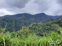 keindahan alam dibukit puteran keindahan alam dibukit puteran