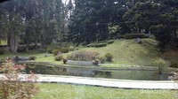 Kolam dan taman cantik di dalam Kebun Raya Cibodas Kolam dan taman cantik di dalam Kebun Raya Cibodas