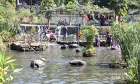 Kolam Berisi Ikan-ikan dan boleh ditangkap Kolam Berisi Ikan-ikan dan boleh ditangkap