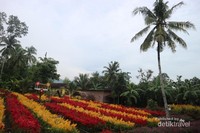 Kabon Asri dari gardu pandang Kabon Asri dari gardu pandang