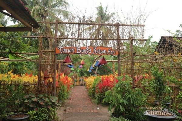 Taman Bunga Tersembungi di Klaten, Kamu Tahu?