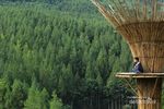 Nyantai di Hutan Pinus Paling Populer di Bandung Barat