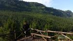 Nyantai di Hutan Pinus Paling Populer di Bandung Barat
