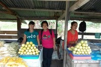 Berfoto bersama ibu-ibu pedagang pasar warga transmigran di Papua. Berfoto bersama ibu-ibu pedagang pasar warga transmigran di Papua.
