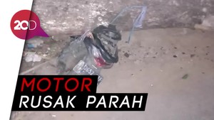 Pohon Tumbang Timpa Motor di Jaktim, 1 Orang Luka