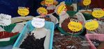 Berburu Manisan di Pasar Tradisional Laos