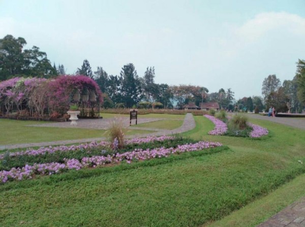 Cantik Nih Taman  Bunga  Nusantara  di Cianjur 