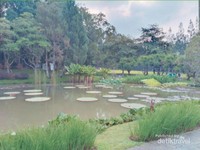 Cantik Nih Taman  Bunga  Nusantara  di Cianjur