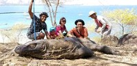 Binatang komodo, naga purba Binatang komodo, naga purba