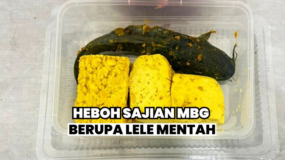 Murid Dikasih MBG Lele Mentah, Sekolah Nolak!