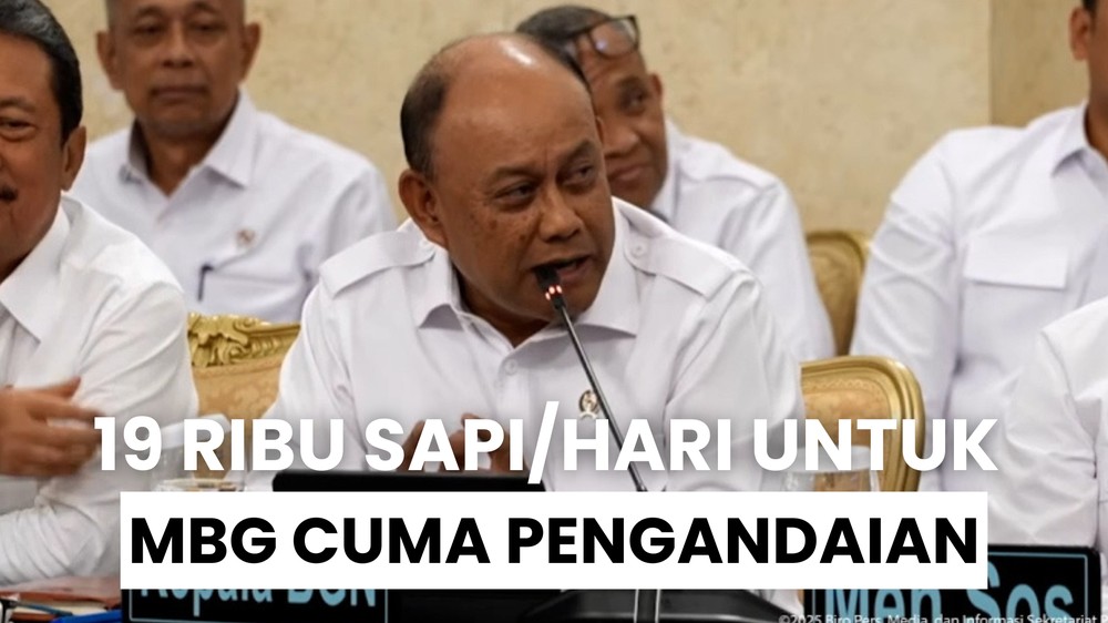 BGN soal 19 Ribu Sapi/Hari untuk MBG