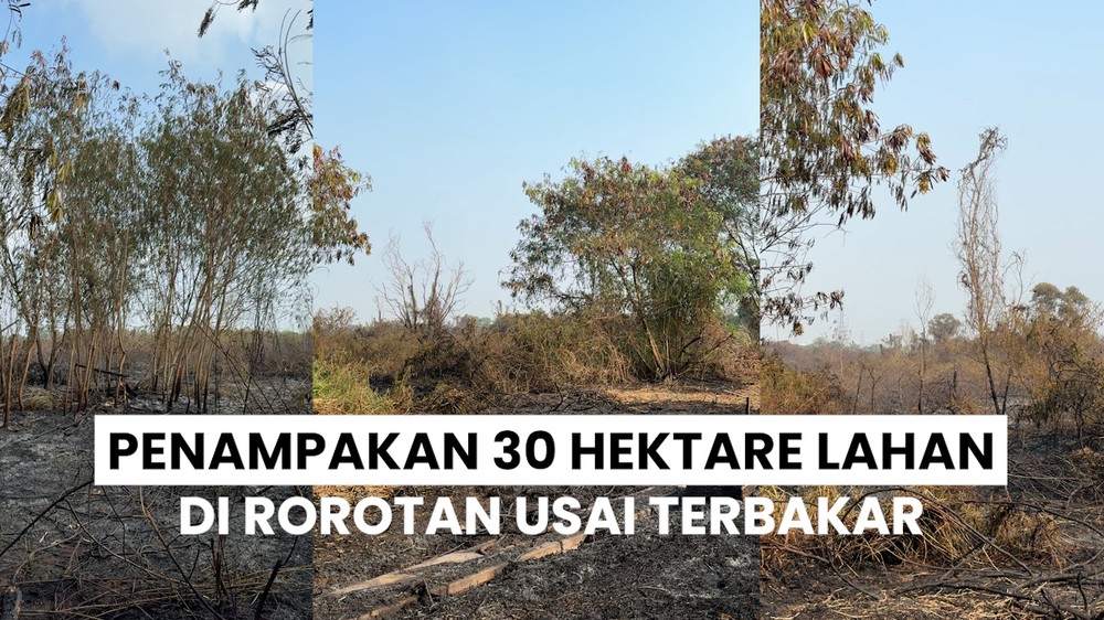 Lahan di Rorotan Diduga Dibakar