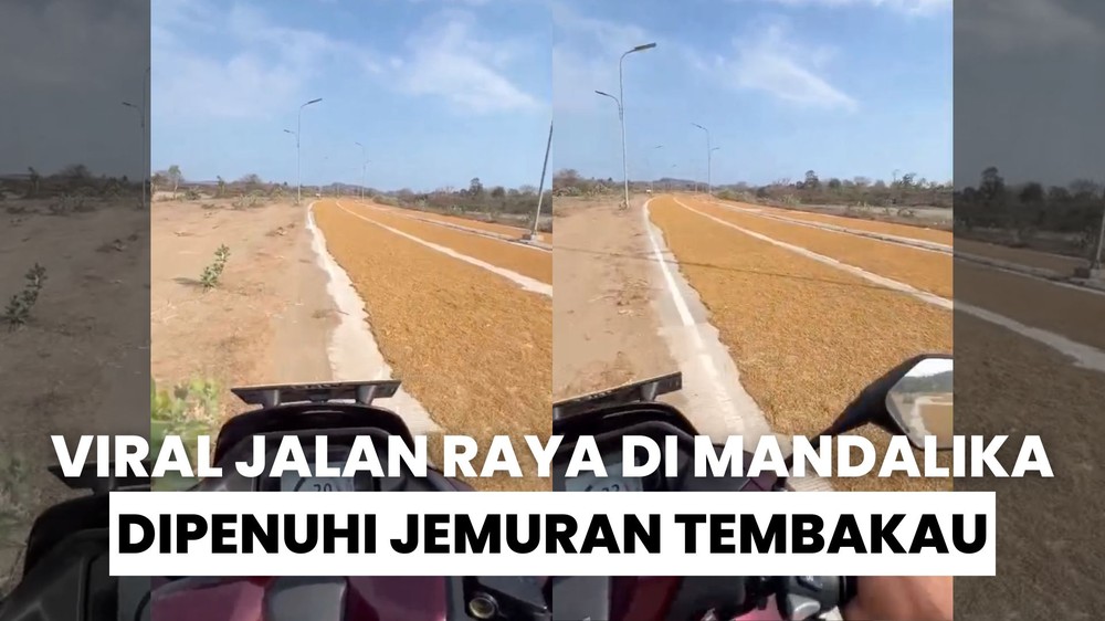 Jalanan di Mandalika Penuh Jemuran Tembakau