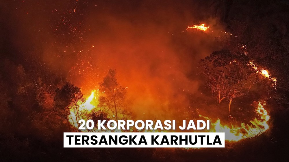 20 Korporasi Jadi Tersangka Karhutla
