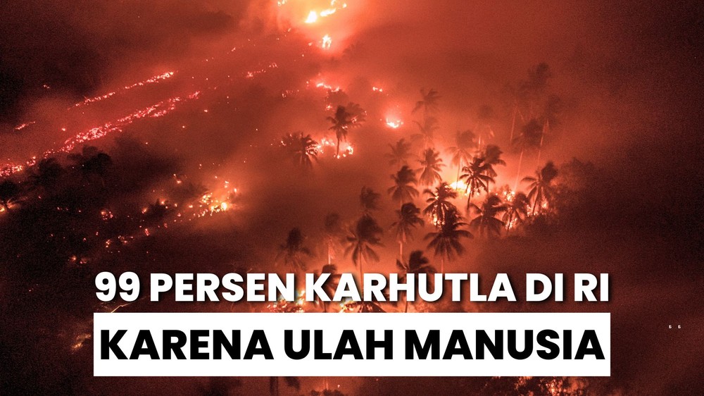 Guru Besar UGM Bicara soal Karhutla