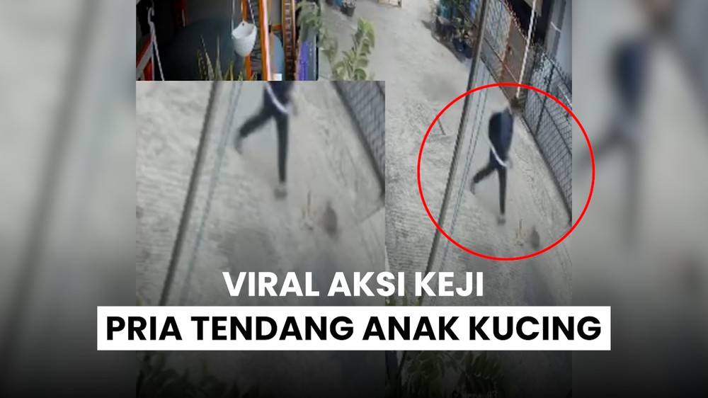 CCTV Pelaku Penendang Kucing!