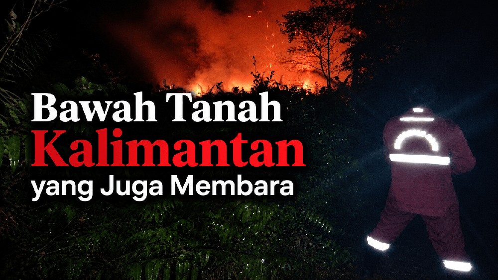 Melihat Kebakaran di Bawah Tanah Kalimantan
