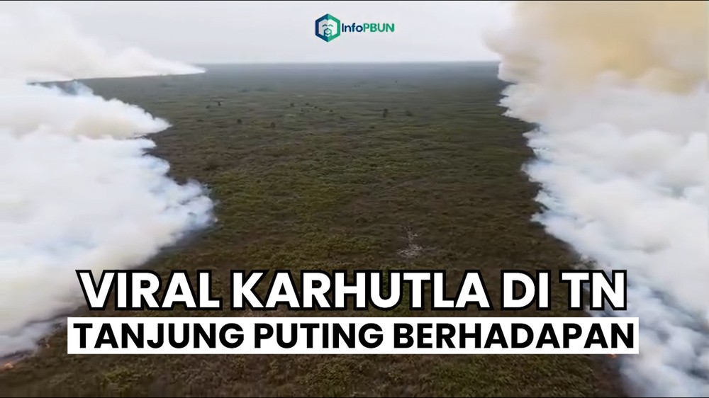 Karhutla di Kalteng Saling Bertemu