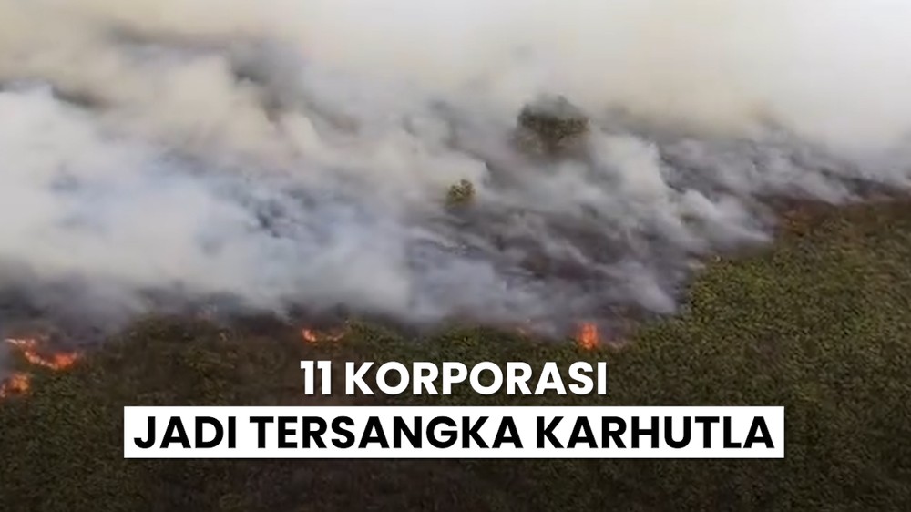 Polri Tetapkan 11 Korporasi Tersangka Karhutla