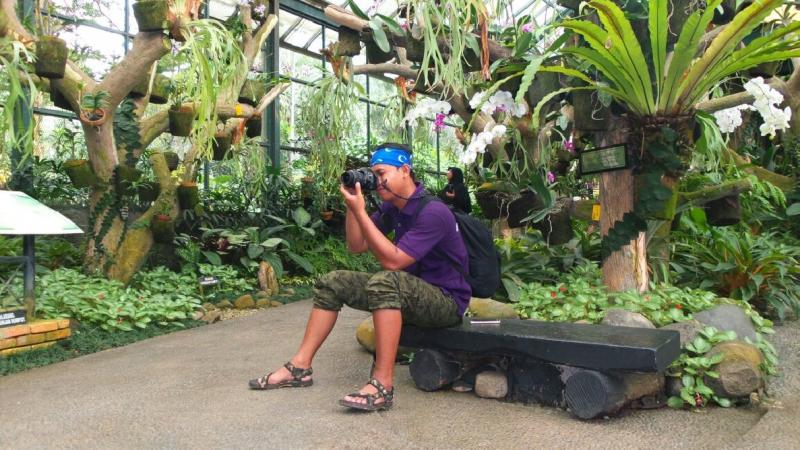 Jelajah Hijaunya Kebun Raya Bogor