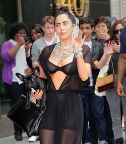 Tak Lagi Kribo Lady Gaga Kini Tampil dengan Rambut  Skinhead