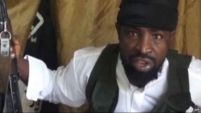 Aktor Pemeran Pemimpin Boko Haram Terbunuh