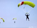 Penerjun Payung Wanita Tewas Usai Berlaga di Jogja Air Show