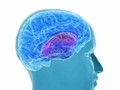 Kemampuan Berbahasa Percepat Kesembuhan Pasien Stroke