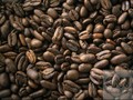 'Rayuan' Biji Kopi Termahal Dunia