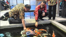 Pantau Twitter, Menteri Susi Baru Tahu Pakan Ikan Masih Mahal