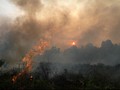 Ribuan Kanal Dibangun di Riau Antisipasi Kebakaran Lahan