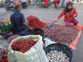 Indef: Daya Beli Rendah, Permintaan Produk Sekunder Turun