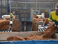 Sering Tak Dibayarkan, LBH Jakarta Buka Pengaduan THR