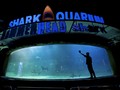 Aset Dikembalikan ke Jaya Ancol, Sengketa Sea World Berakhir