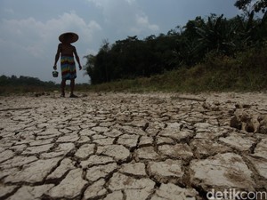Krisis Air di Depan Mata, Ini Peringatan Ilmuwan