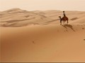 Di Uni Emirat Arab, Mobil Google Diganti Unta