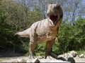Kawah dari Asteroid Pembunuh Dinosaurus akan Diteliti