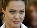 Angelina Jolie Mulai Lirik Dunia Politik
