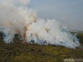 BNPB Deteksi 237 Titik Api Akibat Kebakaran Hutan Riau