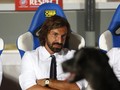 Pirlo: Gerrard Pernah Tolak Carlo Ancelotti