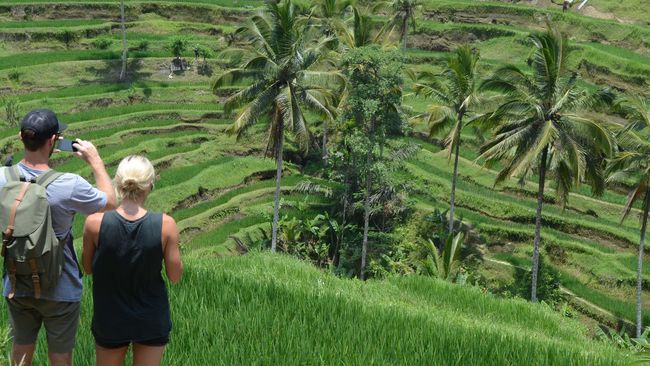 Indonesia Darurat Penulis Buku Perjalanan