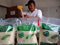 Tengkulak Jadi Penyebab Utama Lonjakan Harga Beras Kali Ini