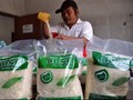 OJK Bidik Pertumbuhan Kredit Sektor Pangan 20,3 Persen