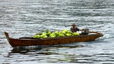 Perahu pancung mengangkut muatan gas elpiji tiga kilogram di peraran Pulau Belakang Padang, Batam, Selasa (21/10).(Antara Foto/Joko Sulistyo)