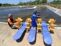 Tekan Alih Fungsi Sawah, Menteri Susi Manfaatkan Udang Galah